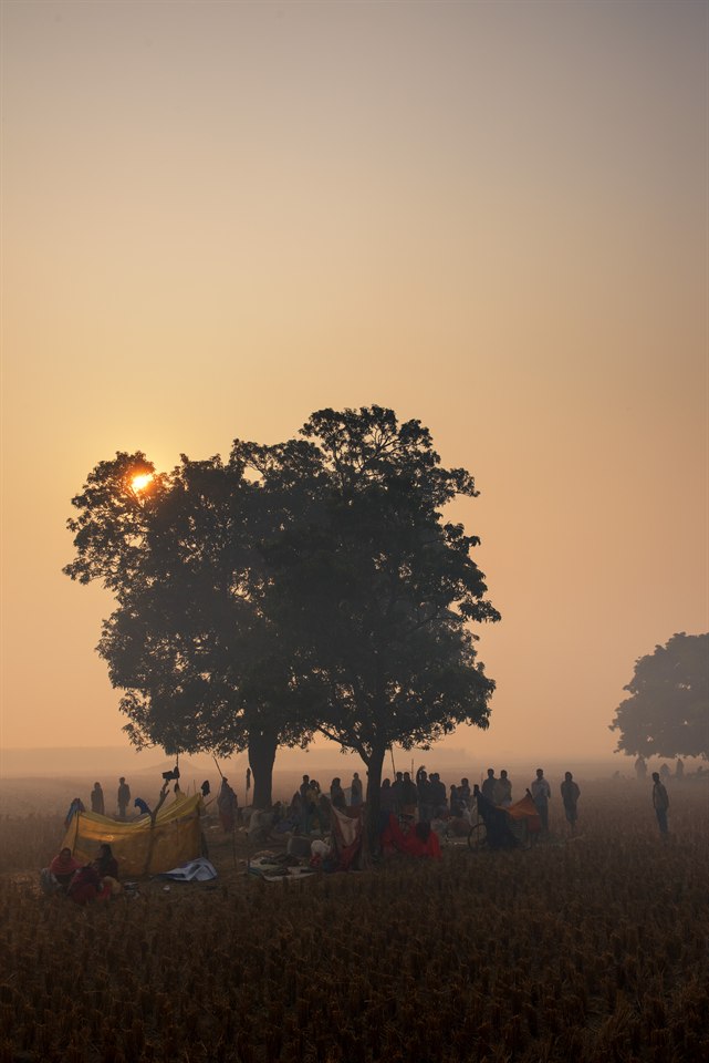20141128-D81_1377-Bearbeitet