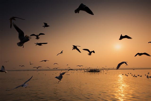 Ganges Sunset