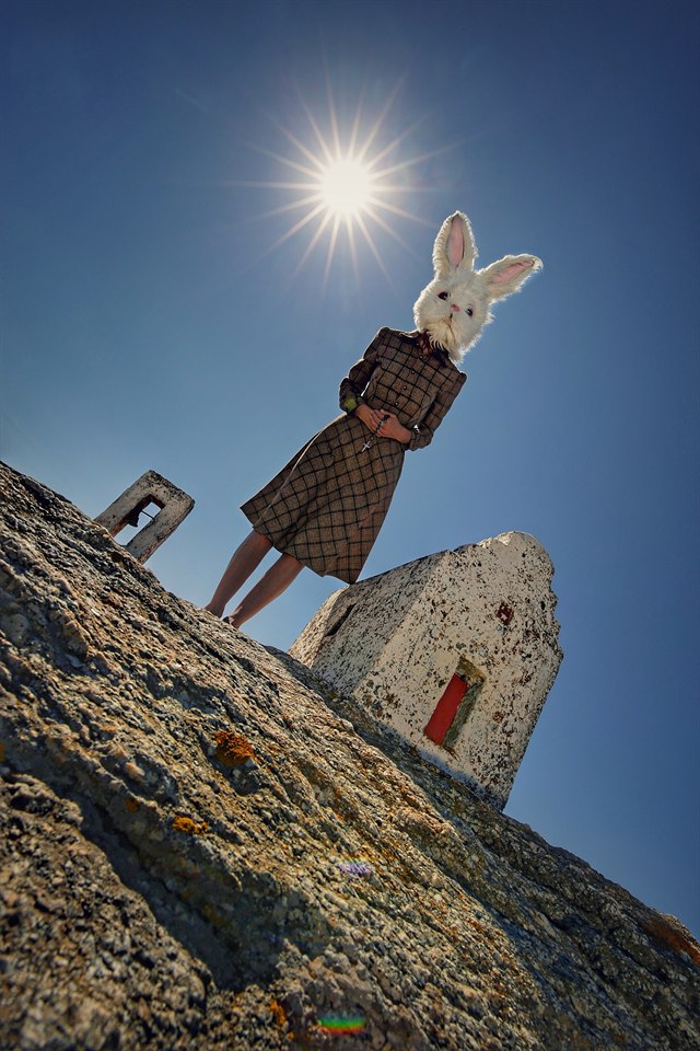 PetraH-Bunny-3