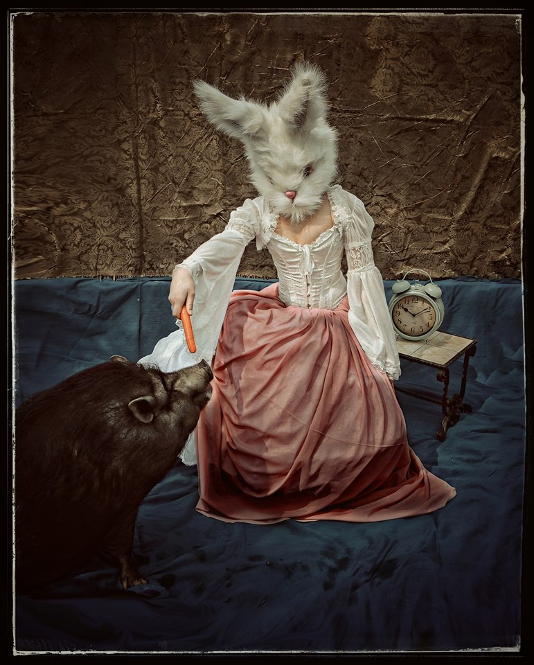 PetraH-Bunny-9